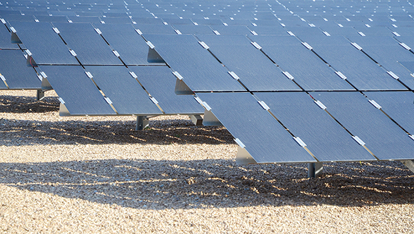 Entergy Economic Development: Brookhaven Solar Station